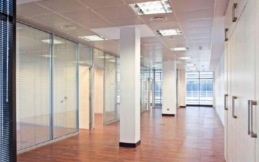 Office for rent in Mas Blau Business Park