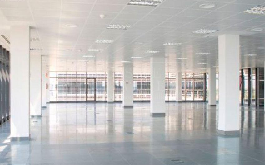 Office for rent in Mas Blau Business Park