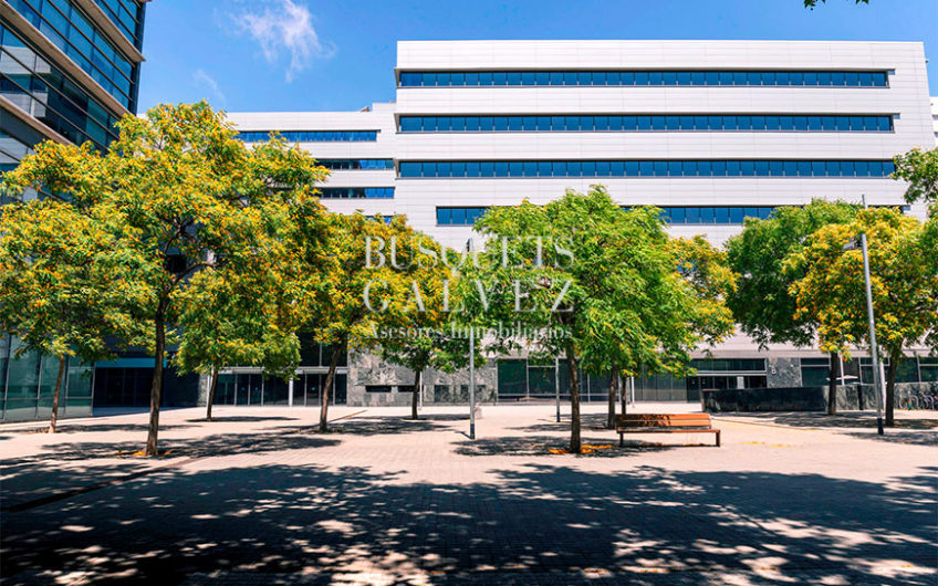 Oficinas en Edificio ATRIUM 22@