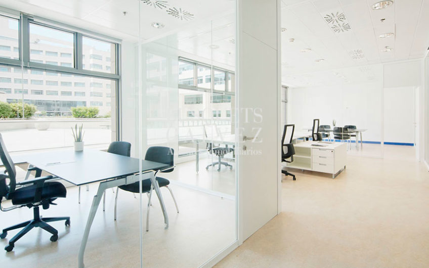 Offices for rent in WTC BCN