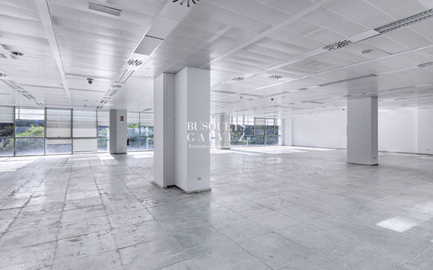 Office for rent in Llull