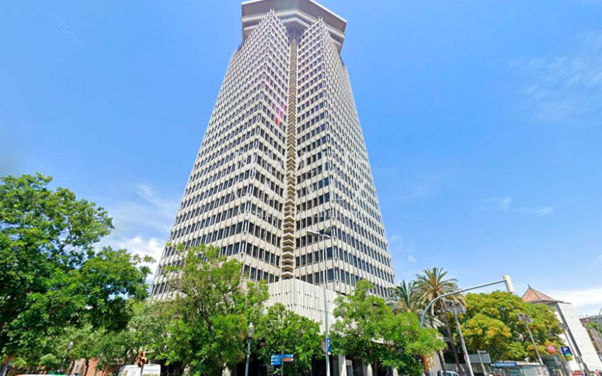 Offices in Torre Colon