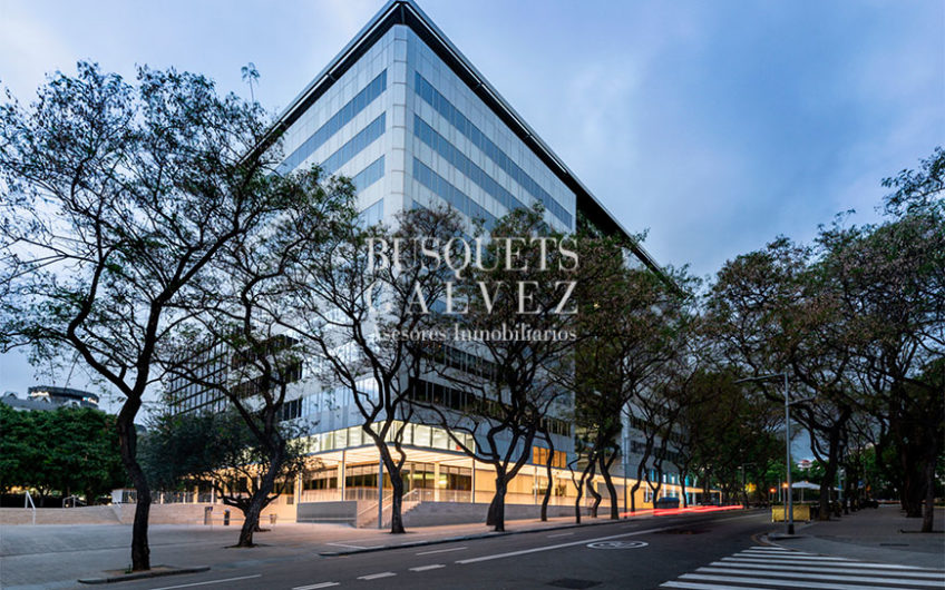 Office for rent Diagonal – Galileo