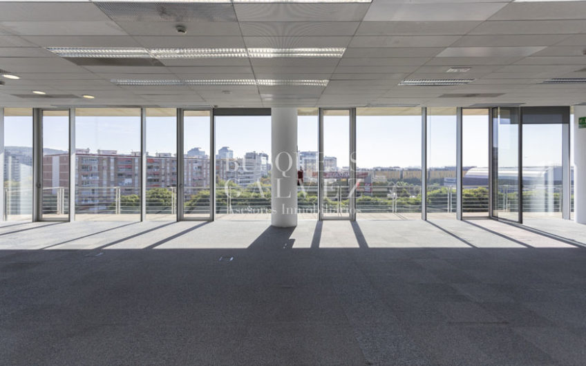 Office in Nova Granvia Building