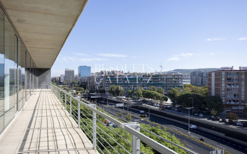 Office in Nova Granvia Building