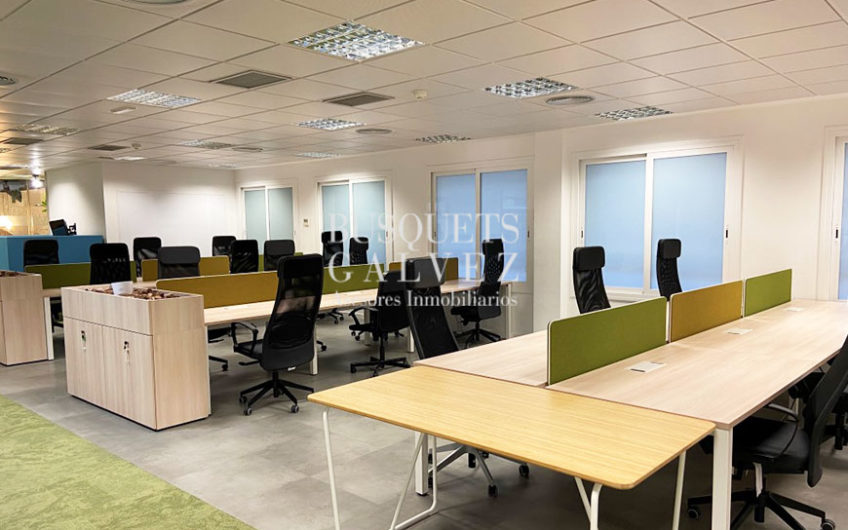 Office for rent in Av.Catedral