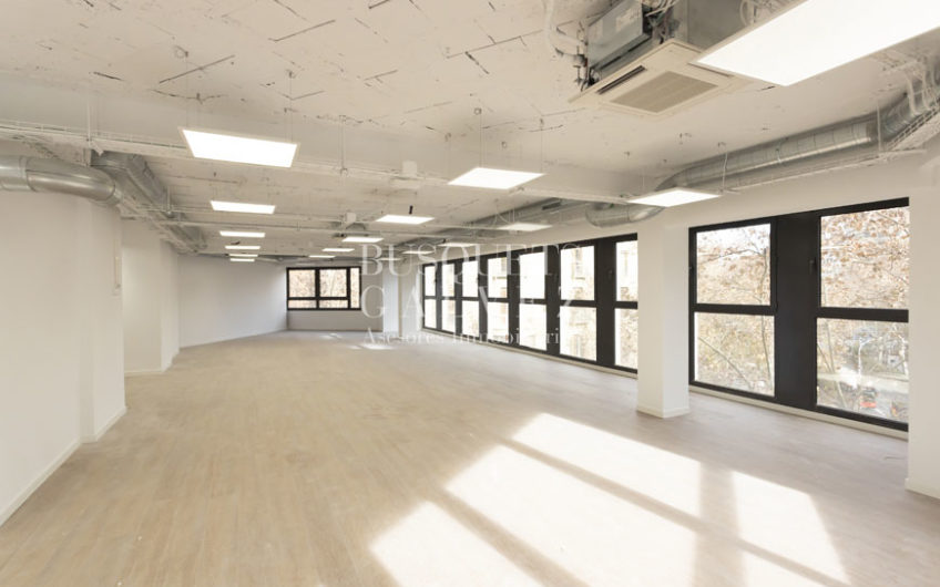 Office for rent in Rda. Saint Peter