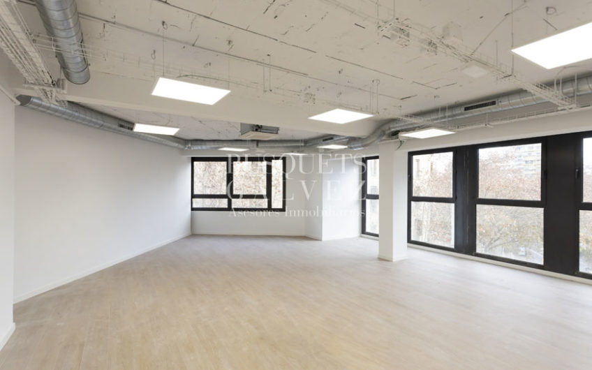 Office for rent in Rda. Saint Peter