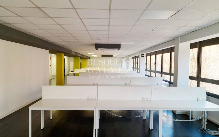 Office for rent in Rda. Saint Peter