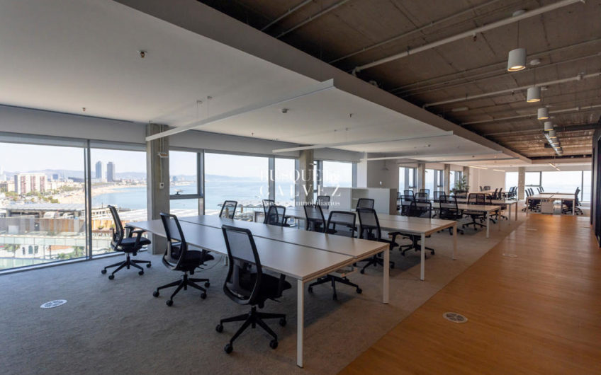 Office for rent in the Ocean building