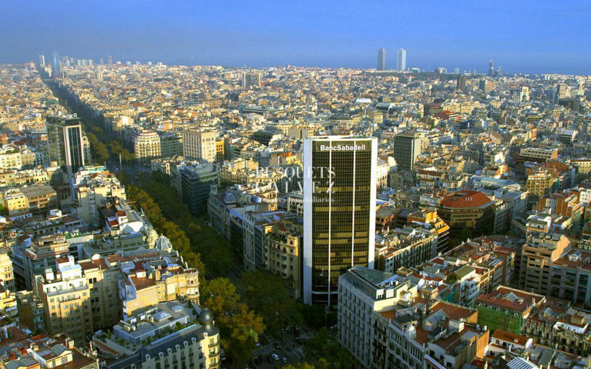 Office in Diagonal Vertical Building