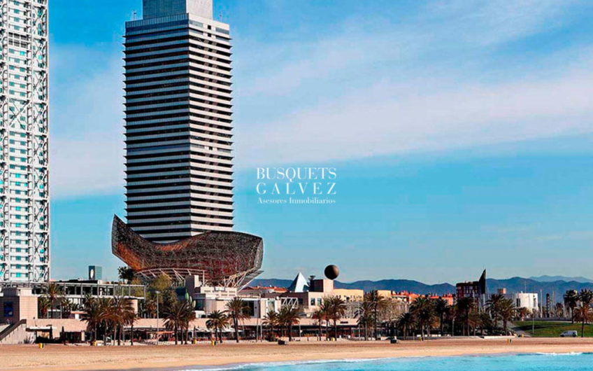 Office for rent in TORRE MAPFRE