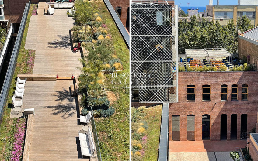 Oficinas en alquiler en EDIFICIO KNEM A