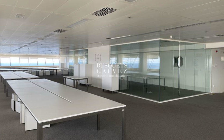 Office for rent in TORRE MAPFRE