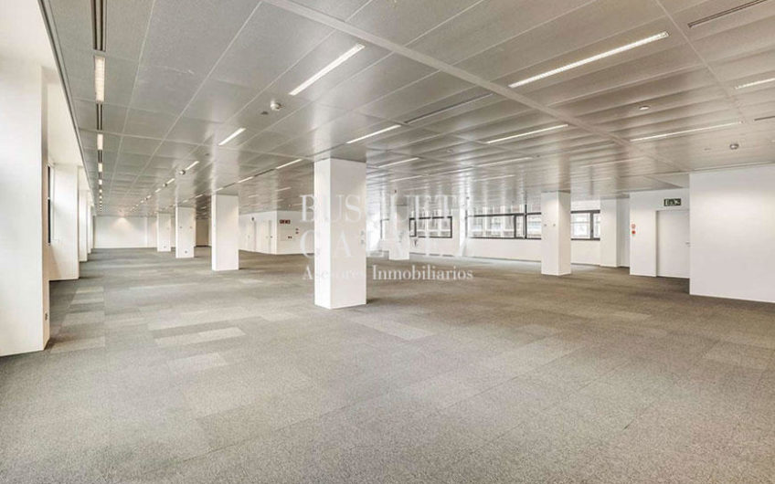 Offices for rent in RBA Building