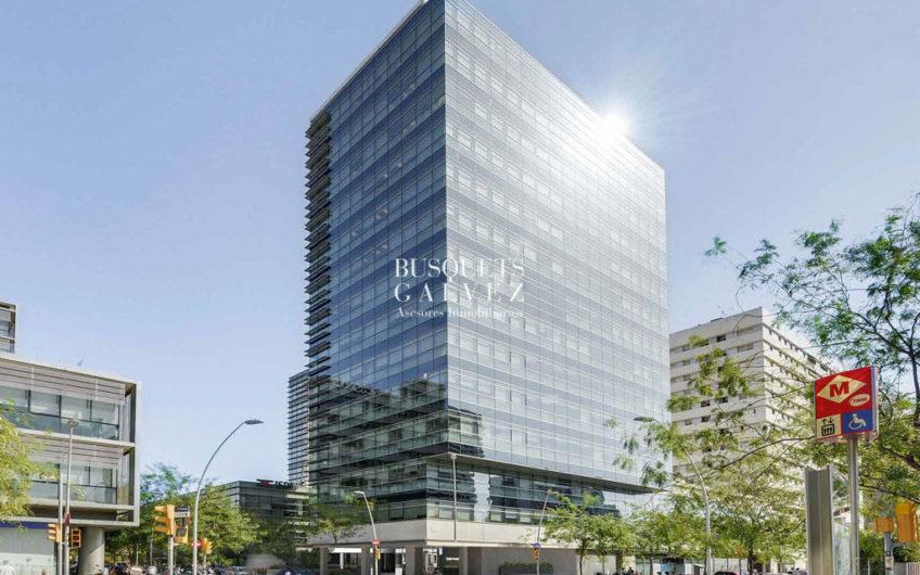 Offices for rent in Torre Pujades Building